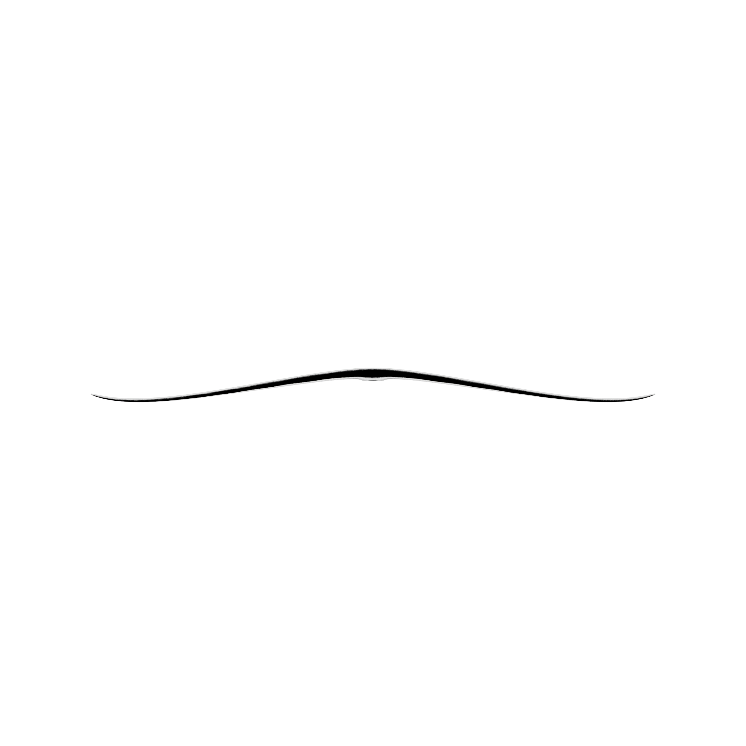 AFS Silk v2 frontal view